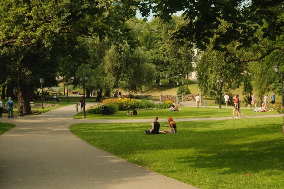 A group of people sitting on a grassy area beneath a large tree with leafy branches overhead. The group includes young women and men, some using smartphones or reading books, with backpacks and bags p