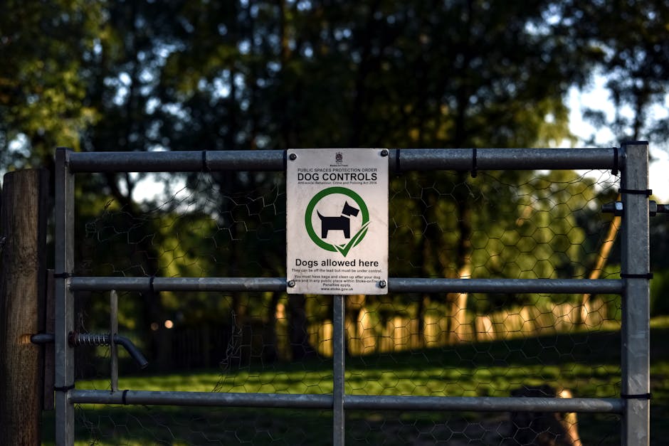 A close-up view of two roadside signs attached to a large tree trunk in a park. The upper sign is white with black text stating 'PUBLIC PARK RUBBISH DUMPING PROHIBITED', indicating that dumping rubbis